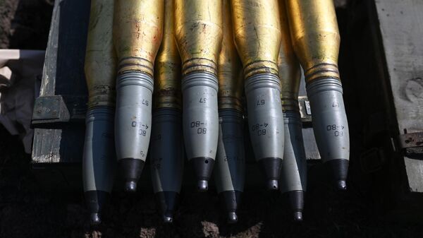 Боеприпасы для орудия С-60 ВС РФ в зоне спецоперации - Sputnik Латвия