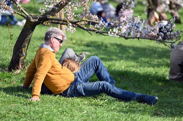 Многие жители Вильнюса с удовольствием устраивают пикники под цветущими деревьями. - Sputnik Латвия