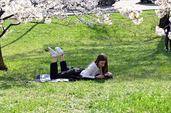 На фото: девушка отдыхает в парке Вильнюса под сакурой. - Sputnik Латвия