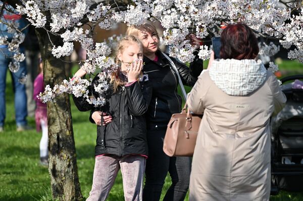 На фото: люди фотографируются с цветущей сакурой в парке Вильнюса. - Sputnik Латвия