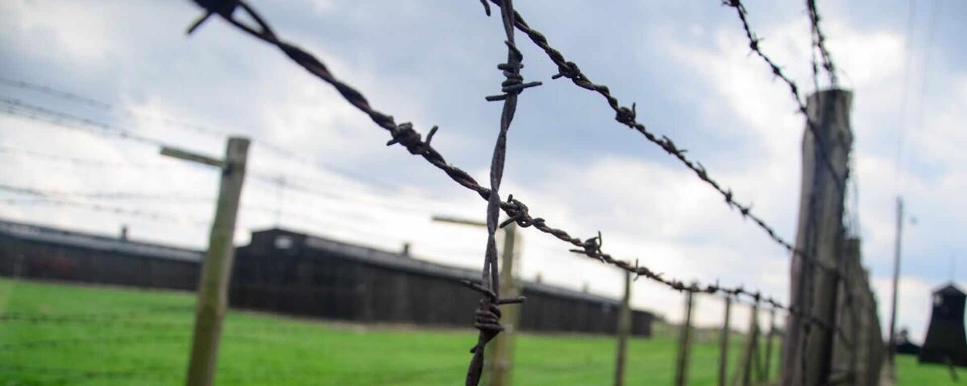 Колючая проволока  - Sputnik Латвия, 1920, 03.01.2026