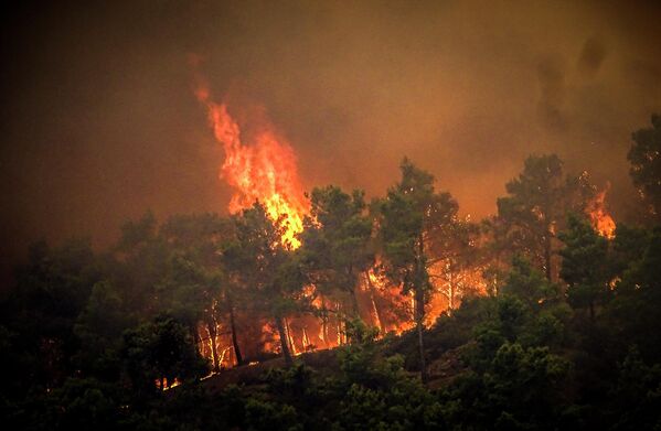Сильные лесные пожары на греческом Родосе. - Sputnik Латвия