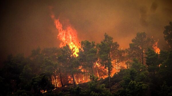 Сильные лесные пожары на греческом Родосе - Sputnik Латвия