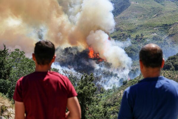 Местные жители смотрят на лесной пожар в Белене, Турция. - Sputnik Латвия