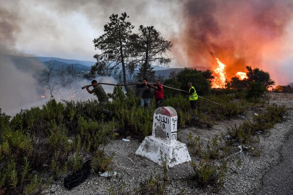 Пожарные тушат лесной пожар около города Меллула, на северо-западе Туниса. - Sputnik Латвия