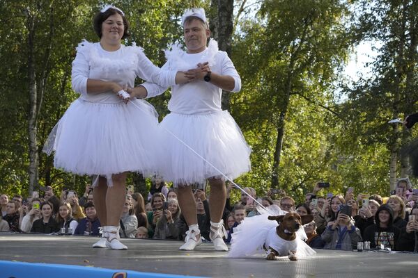 Пара со своими таксами исполняет танец из балета &quot;Лебединое озеро&quot; на фестивале в Петербурге - Sputnik Латвия