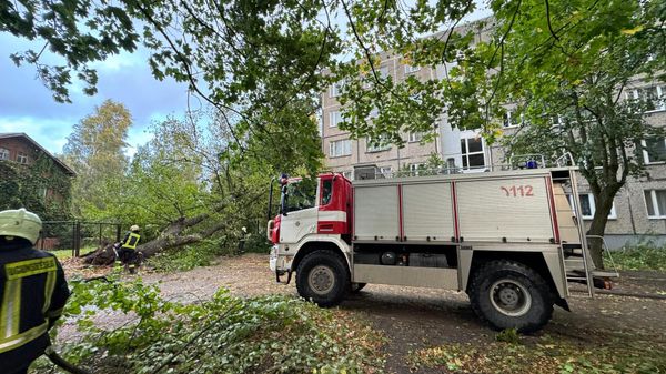 Государственная пожарно-спасательная служба Латвии ликвидирует последствия бури  - Sputnik Латвия