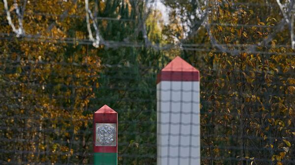 Пограничные столбы на латвийско-белорусской границе  - Sputnik Латвия