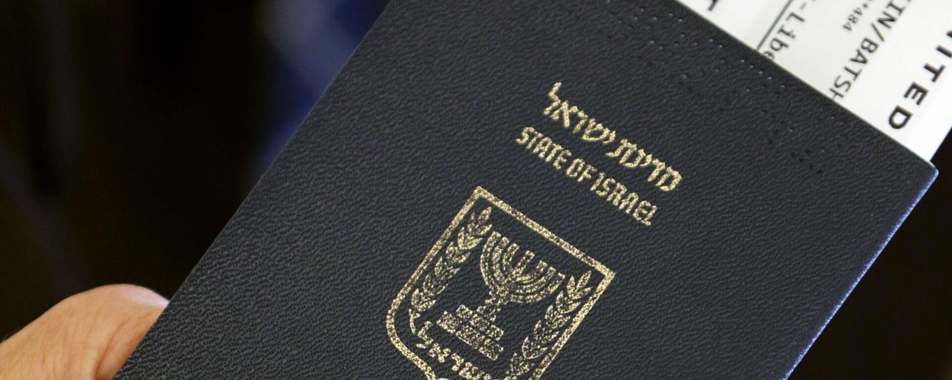 Паспорт гражданина Израиля - Sputnik Латвия, 1920, 14.11.2023