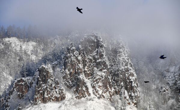 Морозный туман и заснеженные скалы на берегу Енисея в окрестностях Дивногорска в Красноярском крае - Sputnik Латвия