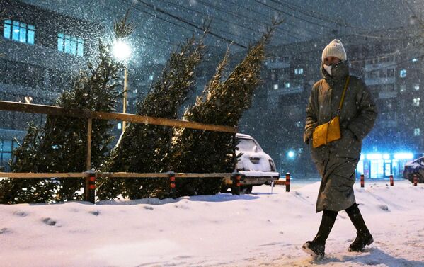 Снегопад в Новосибирске - Sputnik Латвия