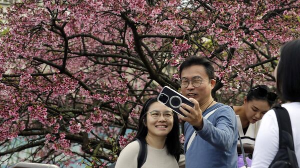 Люди фотографируются на фоне цветущей сакуры во время празднования китайского лунного Нового года в Тайбэе, Тайвань - Sputnik Латвия