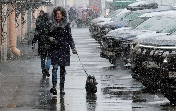 Синоптики прогнозируют, что до конца дня в Санкт-Петербурге выпадет до 8 сантиметров осадков.  - Sputnik Латвия