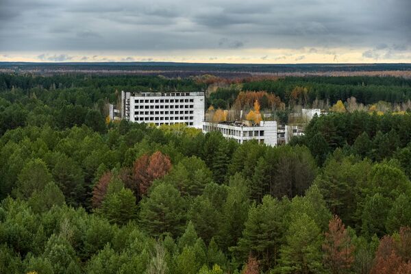 В ночь с 25 на 26 апреля 1986 года, на Чернобыльской атомной электростанции проводились испытания турбогенераторов, которые предусматривали остановку реактора четвертого энергоблока, замер генераторных показателей и отключение системы аварийного охлаждения. На фото: заброшенное здание в городе Припять. - Sputnik Латвия