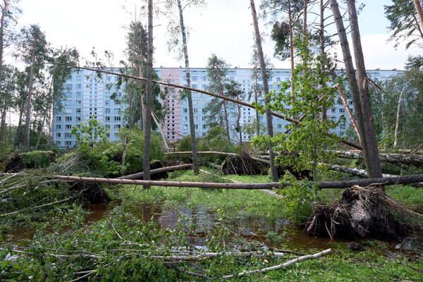 По итогу визита Силиня пообещала задействовать абсолютно все возможности в ликвидации последствий бури  - Sputnik Латвия