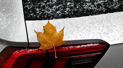 Кленовый лист на автомобиле во время снегопада в Москве