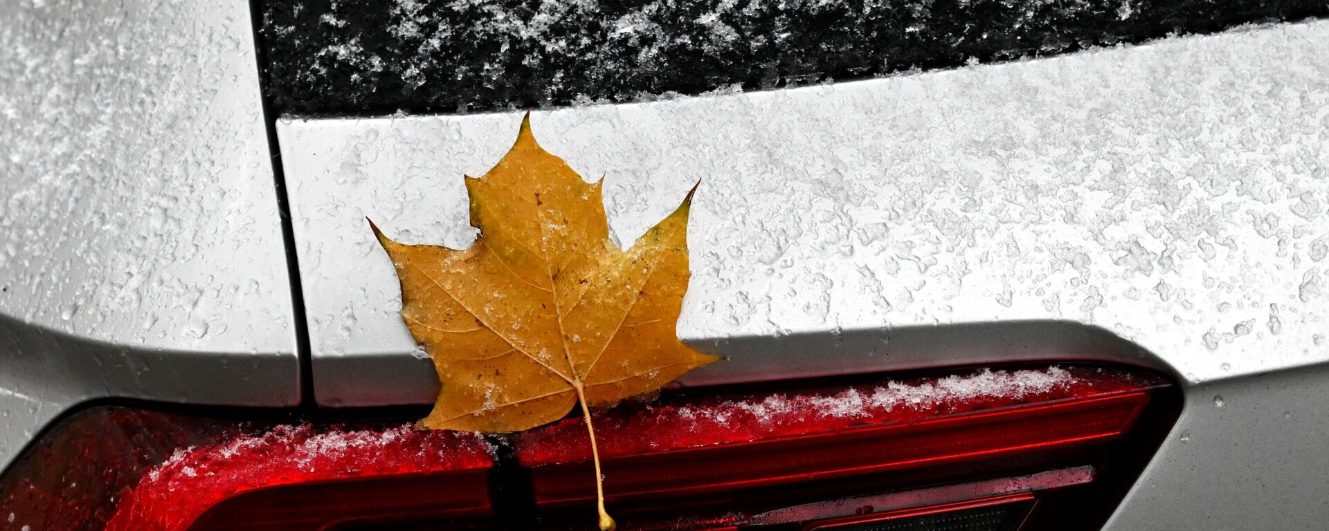 Кленовый лист на автомобиле во время снегопада в Москве - Sputnik Латвия, 1920, 16.12.2025