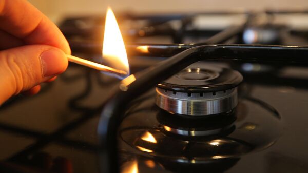 Газовая конфорка - Sputnik Латвия