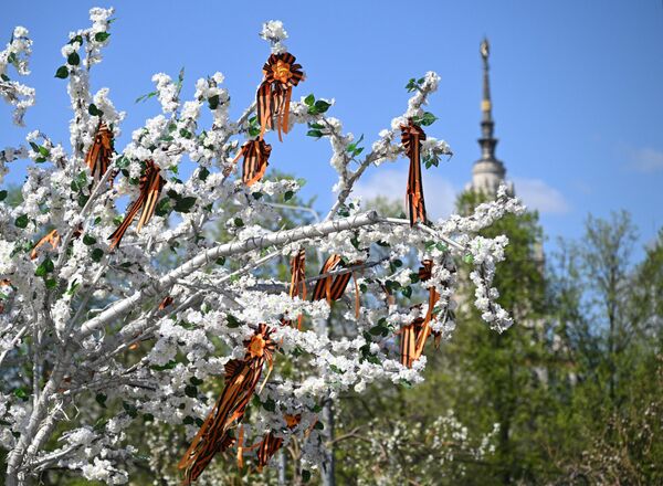 Искусственное дерево, украшенное георгиевскими лентами ко Дню Победы, на проспекте Вернадского в Москве - Sputnik Латвия