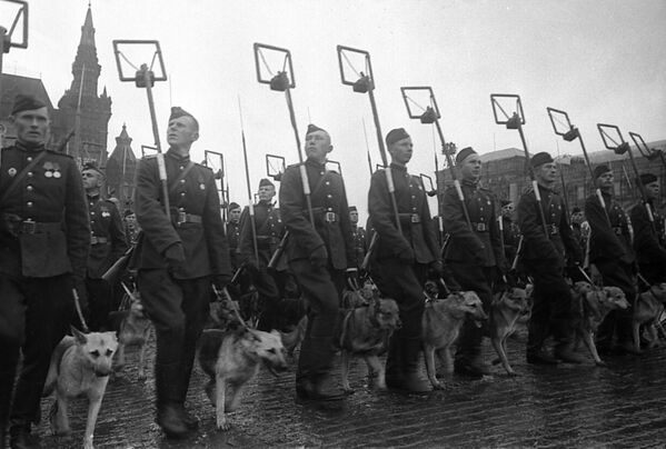 По решению руководства страны это событие останется в истории как дань уважения героям войны и жертвам, отдавшим жизни ради мира.На фото: саперы с собаками минно-разыскной службы проходят по Красной площади во время Парада Победы 24 июня 1945 года. По решению руководства страны это событие останется в истории как дань уважения героям войны и жертвам, отдавшим жизни ради мира.На фото: саперы с собаками минно-разыскной службы проходят по Красной площади во время Парада Победы 24 июня 1945 года. - Sputnik Латвия