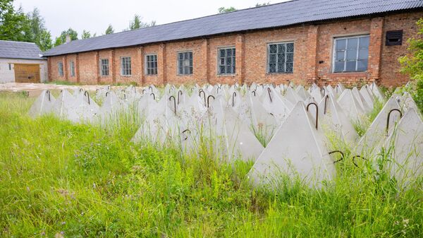 Зубы дракона на российско-латвийской границе в районе пограничного пункта Терехово - Sputnik Латвия