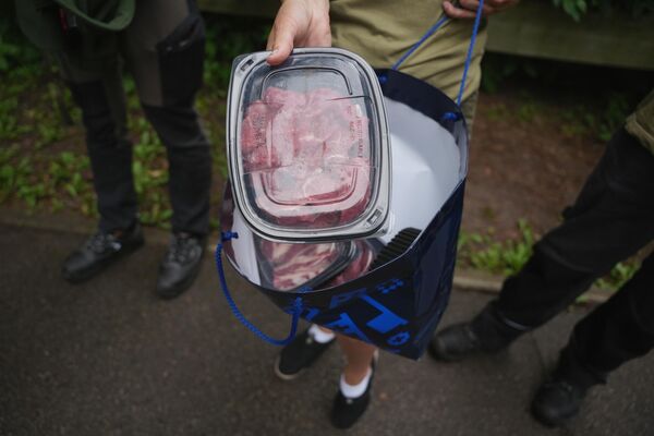 Еда, которой кормят амурских тигрят из Рижского зоопарка Еда, которой кормят амурских тигрят из Рижского зоопарка - Sputnik Латвия