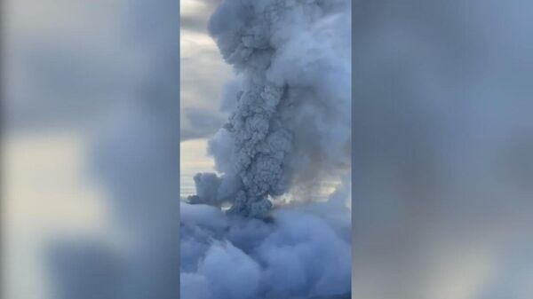 Вулкан Крашенинникова пробудился на Камчатке впервые за последние 6 веков - Sputnik Латвия