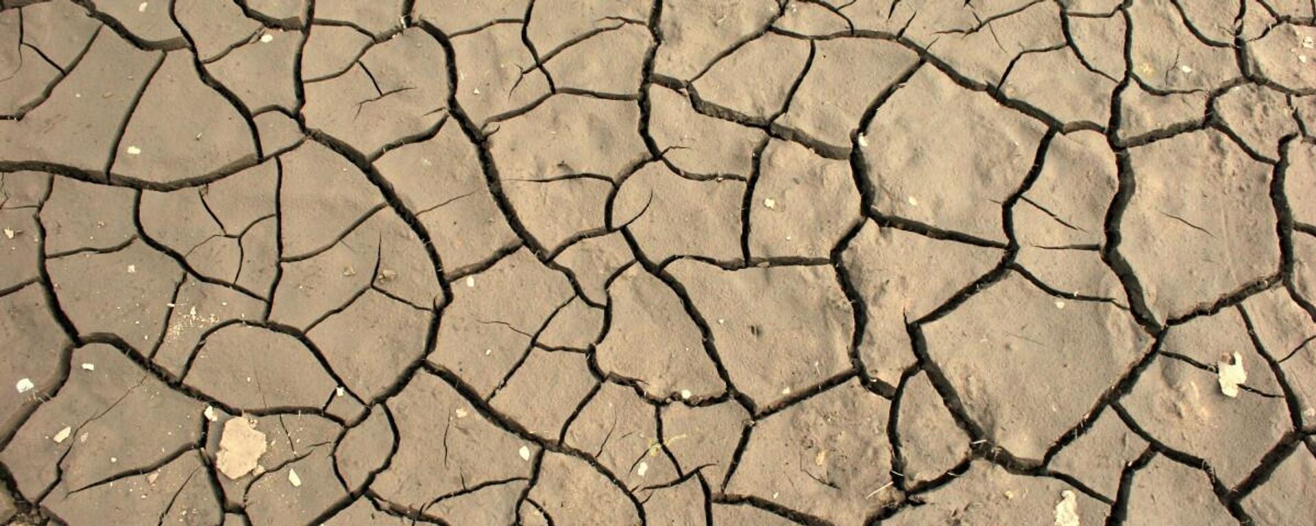 Засуха - Sputnik Латвия, 1920, 16.03.2025