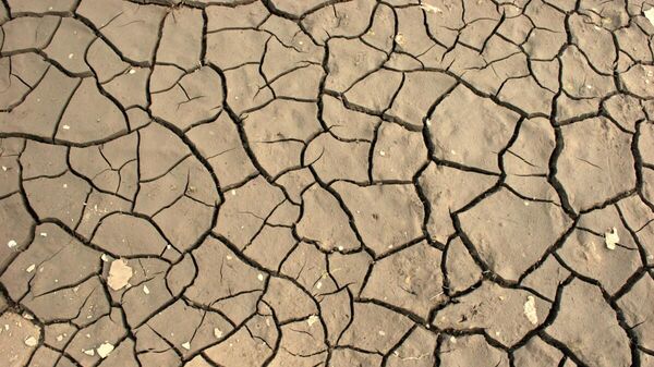 Засуха - Sputnik Латвия