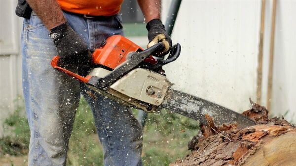 Лесоруб - Sputnik Латвия