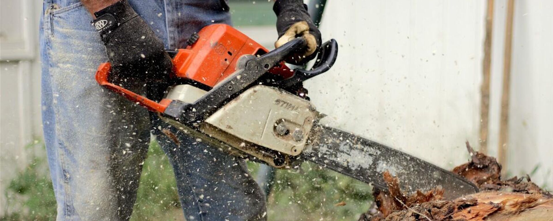 Лесоруб - Sputnik Латвия, 1920, 20.06.2025