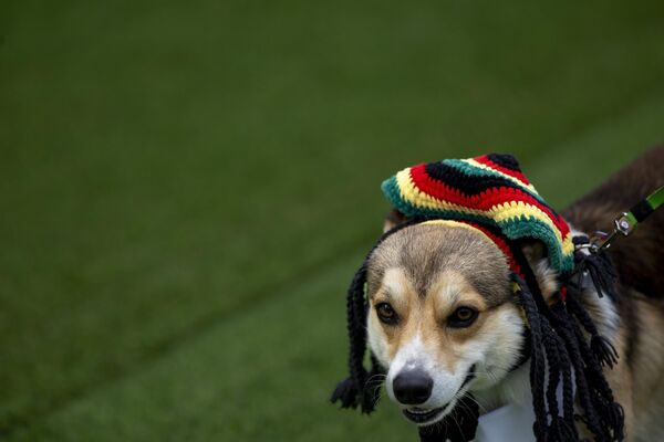 Всего мероприятие продлилось два дня. За это время его посетили тысячи человек - Sputnik Латвия