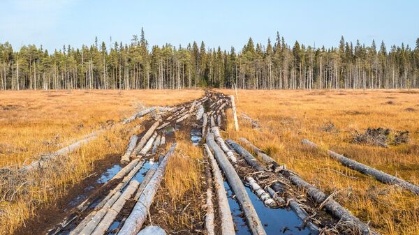 Осень в Национальном парке Водлозерский - Sputnik Латвия