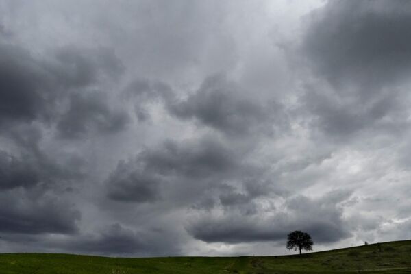 Темные тучи сгущаются над полем с деревом возле деревни Кампия, Кипр. - Sputnik Латвия