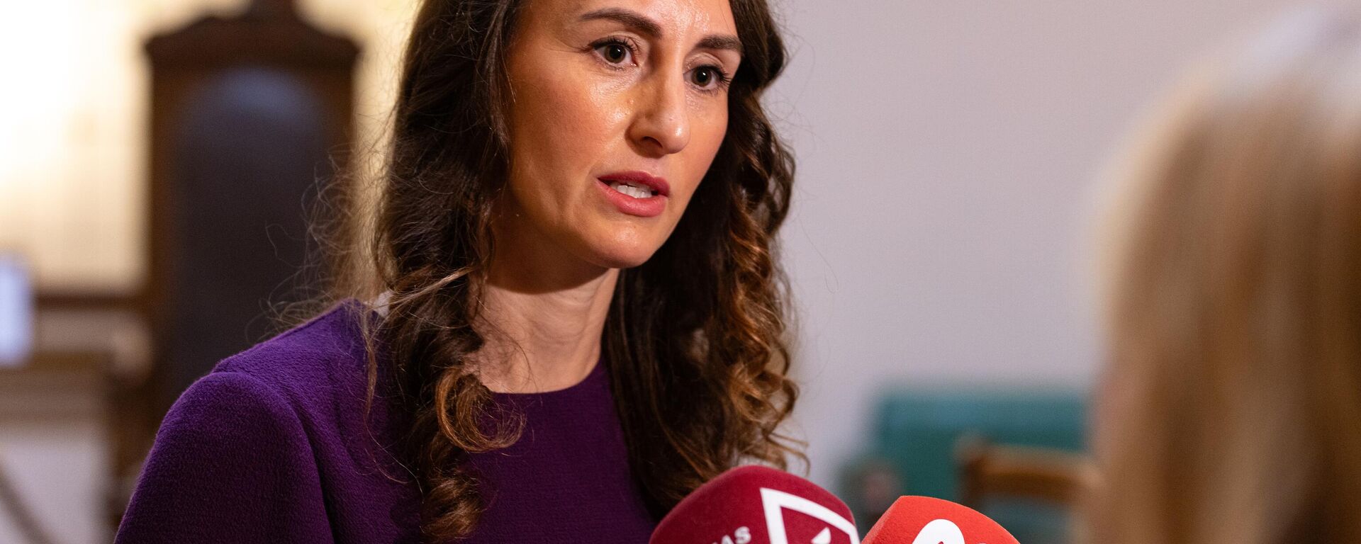 Новый омбудсмен Карина Палкова  - Sputnik Латвия, 1920, 10.02.2026