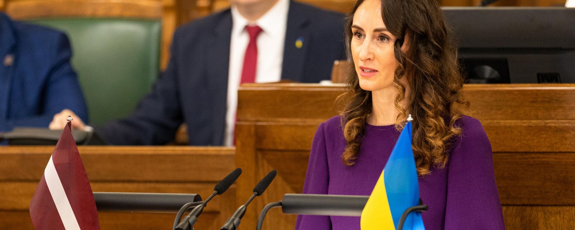 Новый омбудсмен Карина Палкова  - Sputnik Латвия, 1920, 16.10.2025