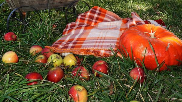 Осень в Ростове-на-Дону - Sputnik Латвия