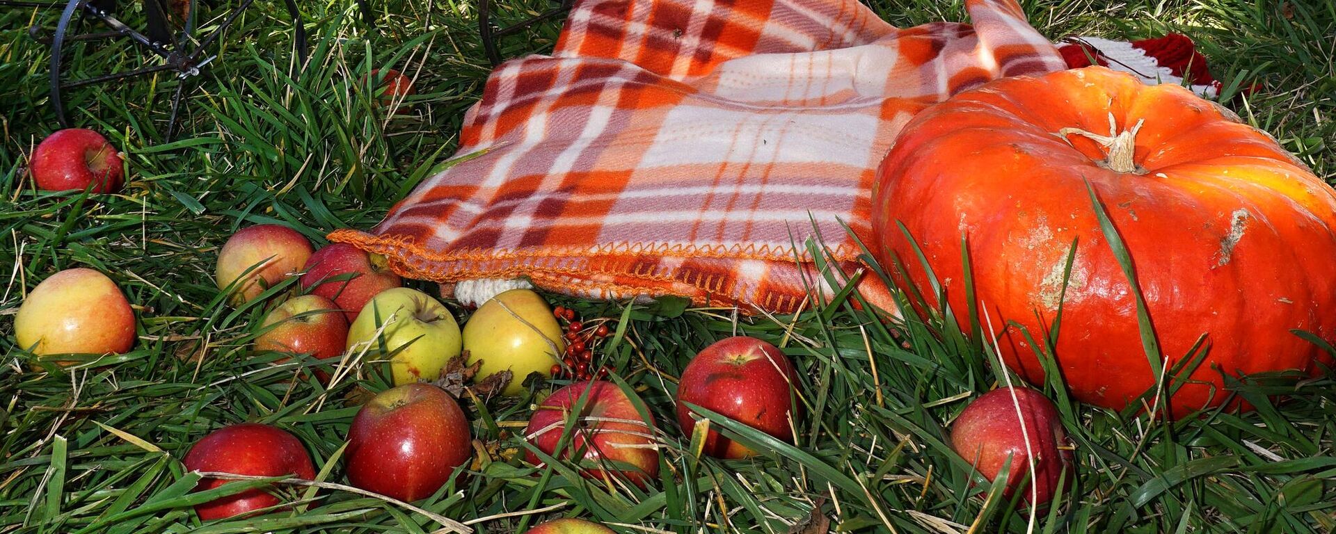 Осень в Ростове-на-Дону - Sputnik Латвия, 1920, 26.09.2025