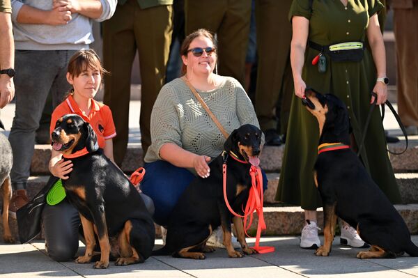 Охотники приглашали жителей и гостей города познакомиться с их жизнью поближе. - Sputnik Латвия