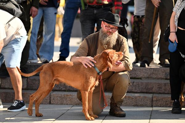 Без собаки просто не было бы охоты, она как навигация охотника, поделились участники фестиваля. - Sputnik Латвия