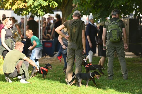 Голос собаки может многое рассказать охотнику. - Sputnik Латвия