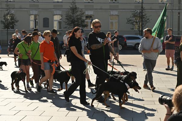 Еще одна порода, которую можно было встретить на фестивале — немецкий ягдтерьер. - Sputnik Латвия