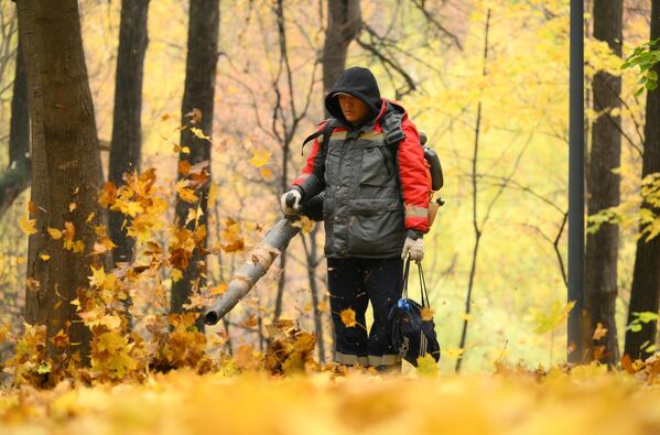 Уборка опавших листьев в Нескучном саду в Москве - Sputnik Латвия