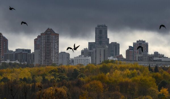 Проспект Вернадского в Москве - Sputnik Латвия