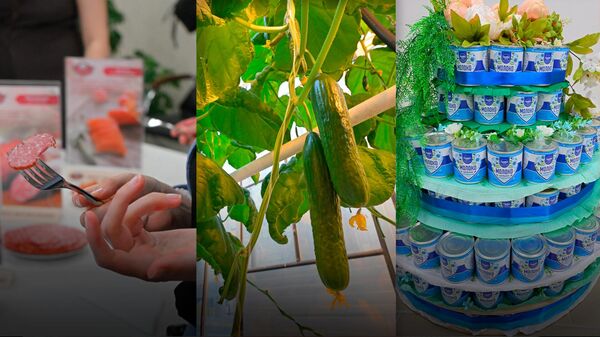 Омск, в котором вкусно и зелено - Sputnik Латвия