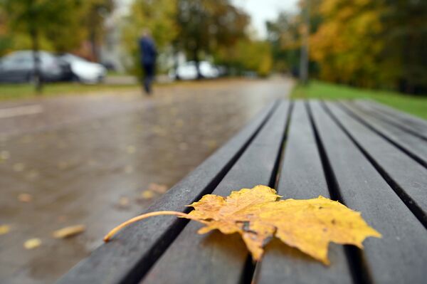 Самая низкая температура воздуха была зафиксирована 20 октября в Молетай, Утене и Варене и составила 6,5 градуса мороза. Самая высокая — 11 октября в Скуодасе и составила 17,6 градусов тепла. - Sputnik Латвия