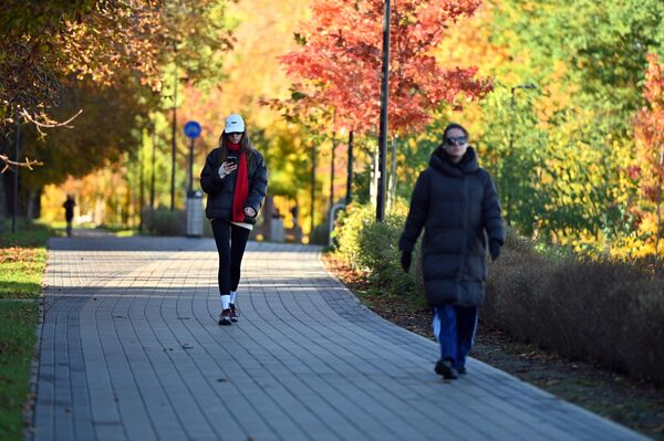 В октябре с деревьев начали опадать желтые листья и Вильнюс окрасился золотыми красками осени. - Sputnik Латвия