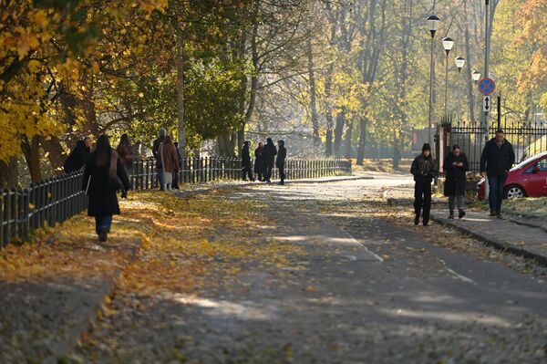 Во вторую декаду октября в Литве среднее количество солнечных дней составило 37,3 часа (104 процента от средней климатической нормы): от 25,5 часов в Утене до 52,6 часов в Шилуте. - Sputnik Латвия
