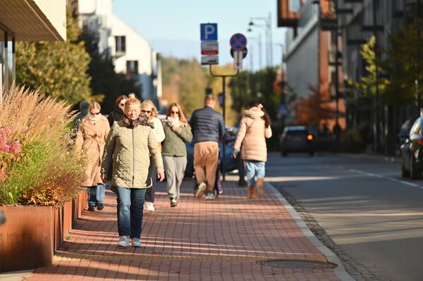 В конце октября золотая осень подошла к концу. Некоторые деревья уже без листьев, а другие стремительно их сбрасывают. - Sputnik Латвия