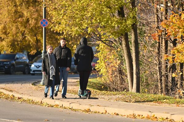 Как обычно, в начале ноября желтый цвет в природе почти исчезнет, ​​уступив место серым и коричневым оттенкам. - Sputnik Латвия
